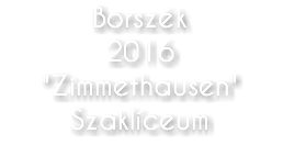 Borszék 2016 "Zimmethausen" Szaklíceum
